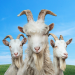 Goat Simulator 3 Mod Apk 1.0.4.5 (Mod Menu, Unlimited Money)